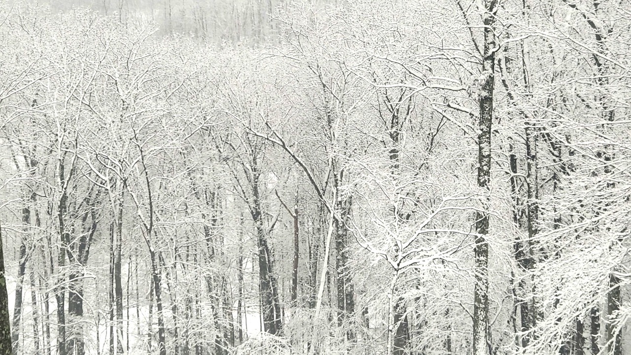 Photo of Others in Nashville