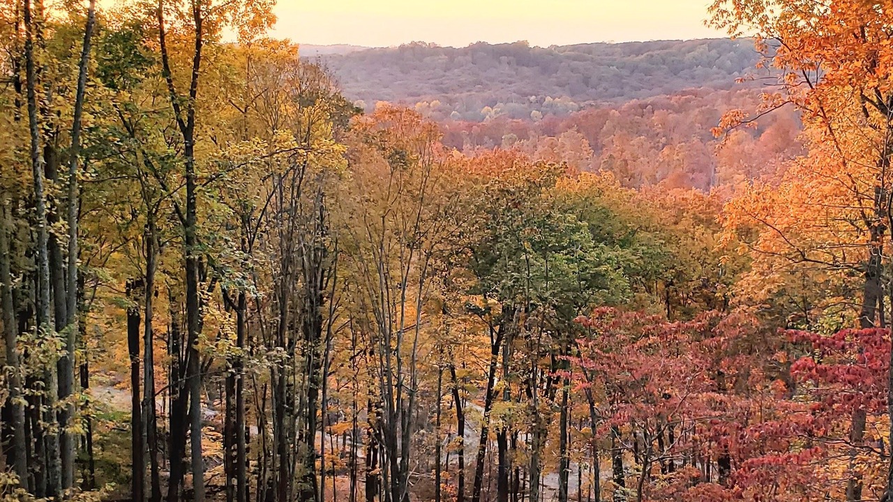 Photo of Others in Nashville