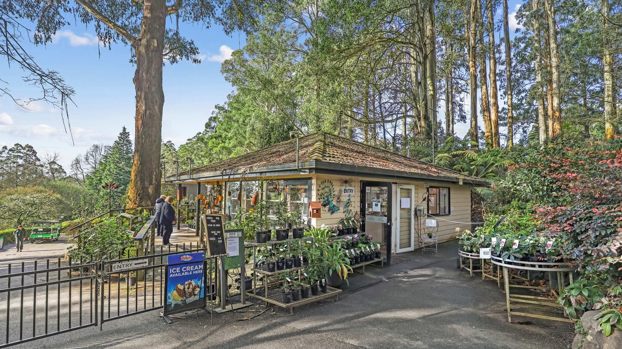 Photo of Outdoor in Kallista