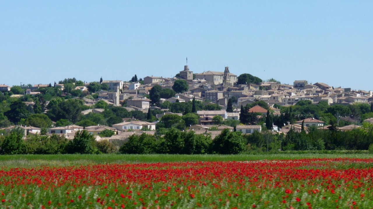 Photo of Others in Gallargues-le-Montueux