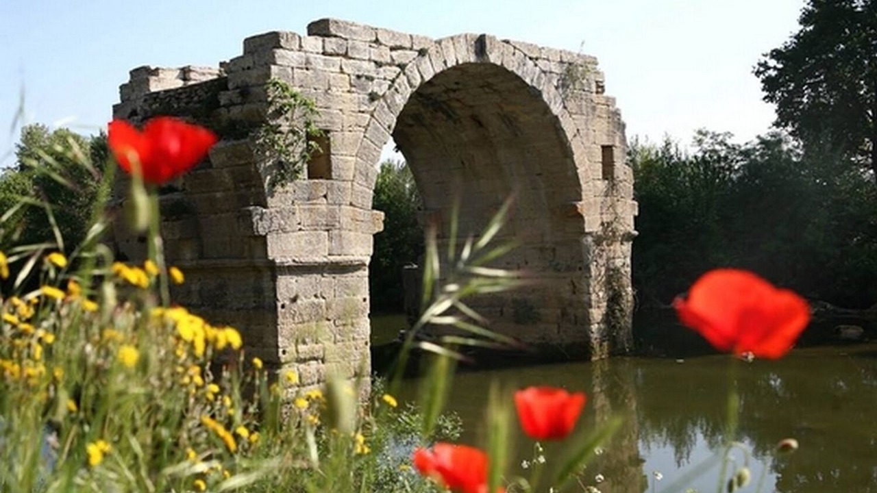 Photo of Others in Gallargues-le-Montueux