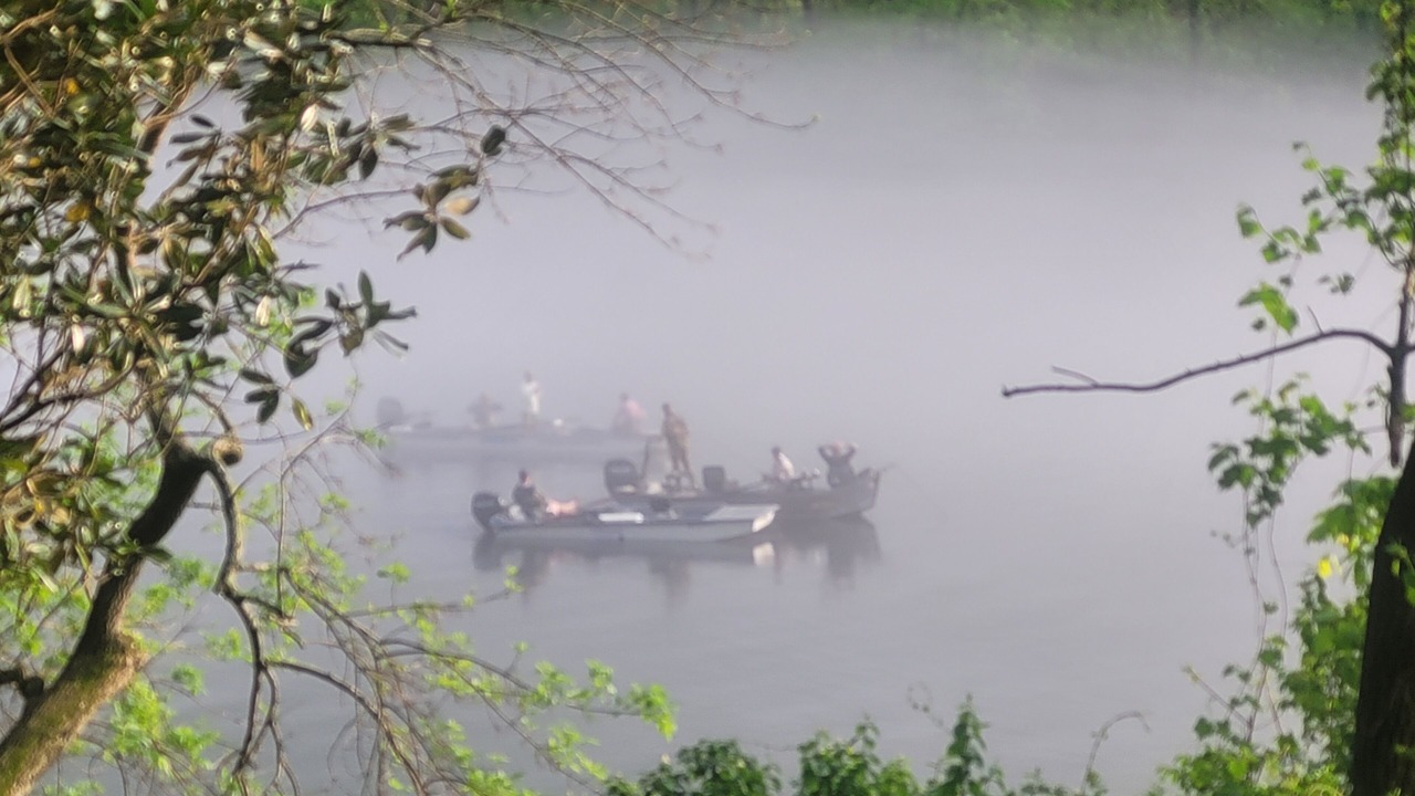 Photo of Others in Lakeview