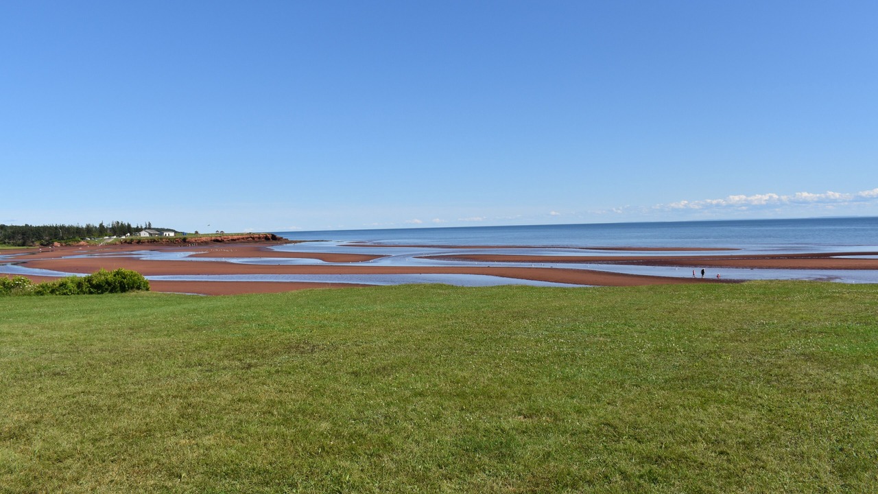 Photo of Others in Canoe Cove