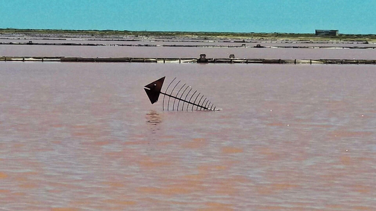 Photo of Others in Olonzac