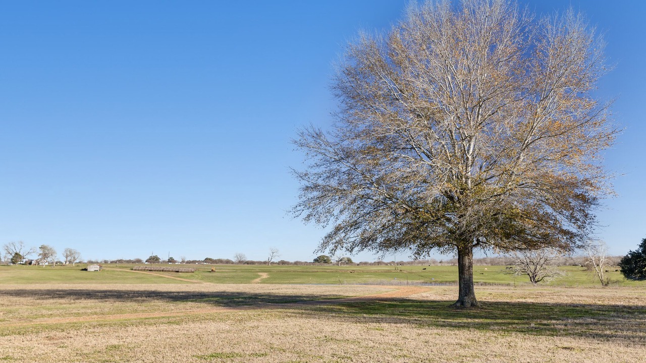 Photo of Others in Smithville