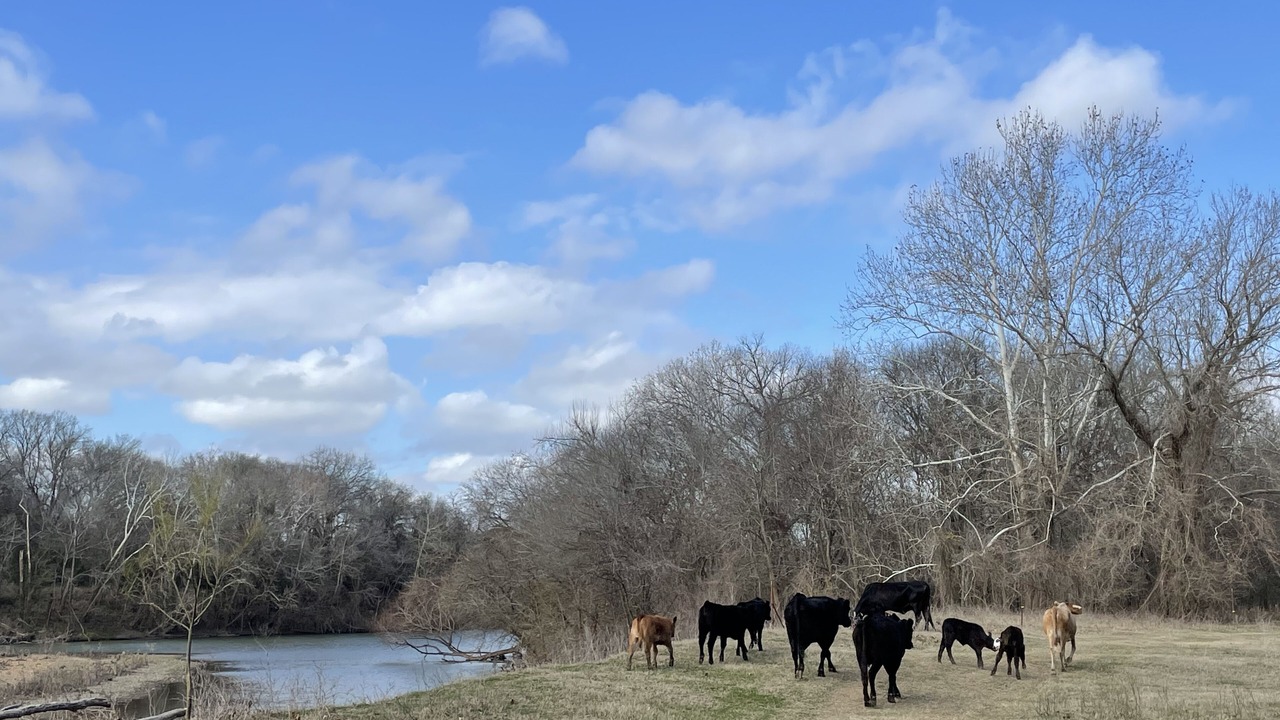 Photo of Outdoor in Smithville