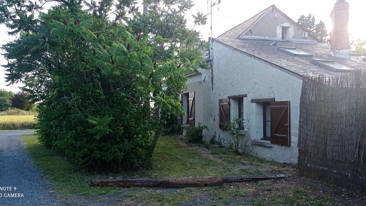 Photo of Outdoor in Le Guedeniau