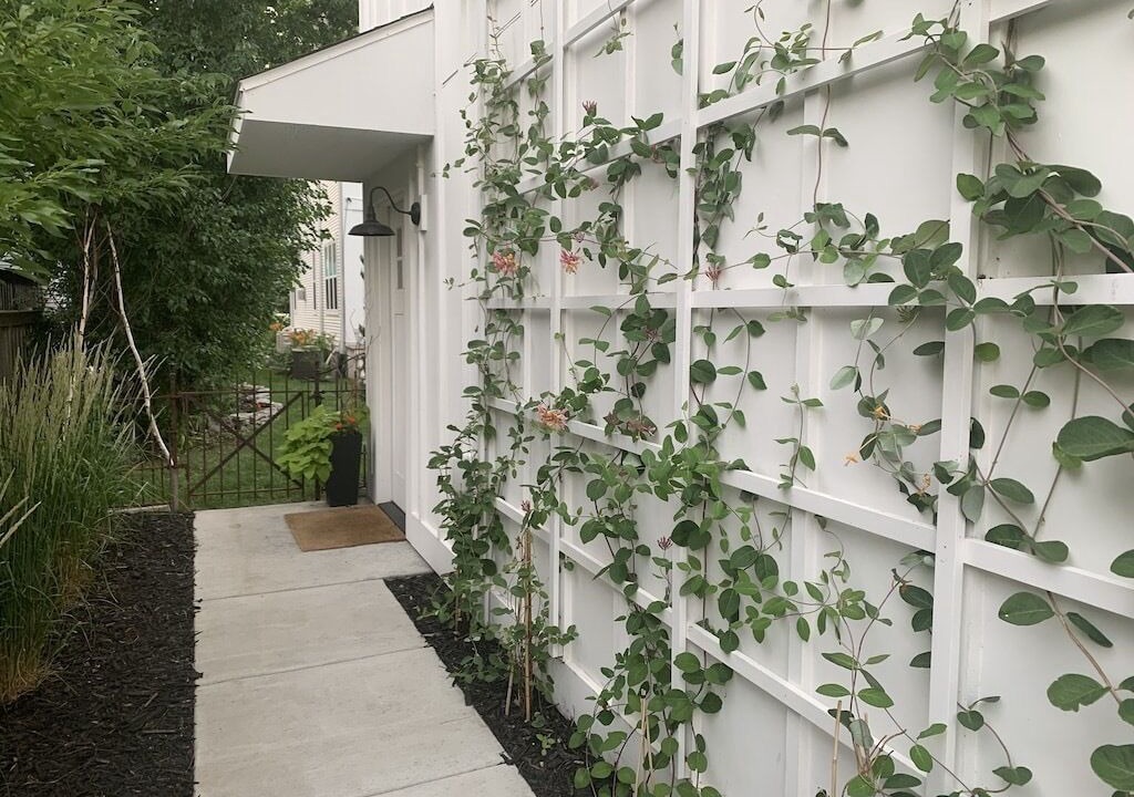 Photo of Outdoor in Ecco