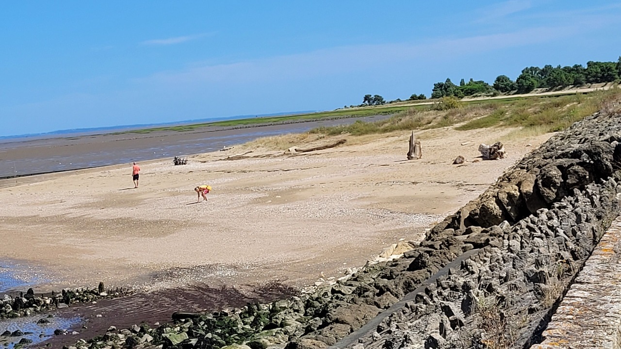 Photo of Others in Saint-Vivien-de-Medoc