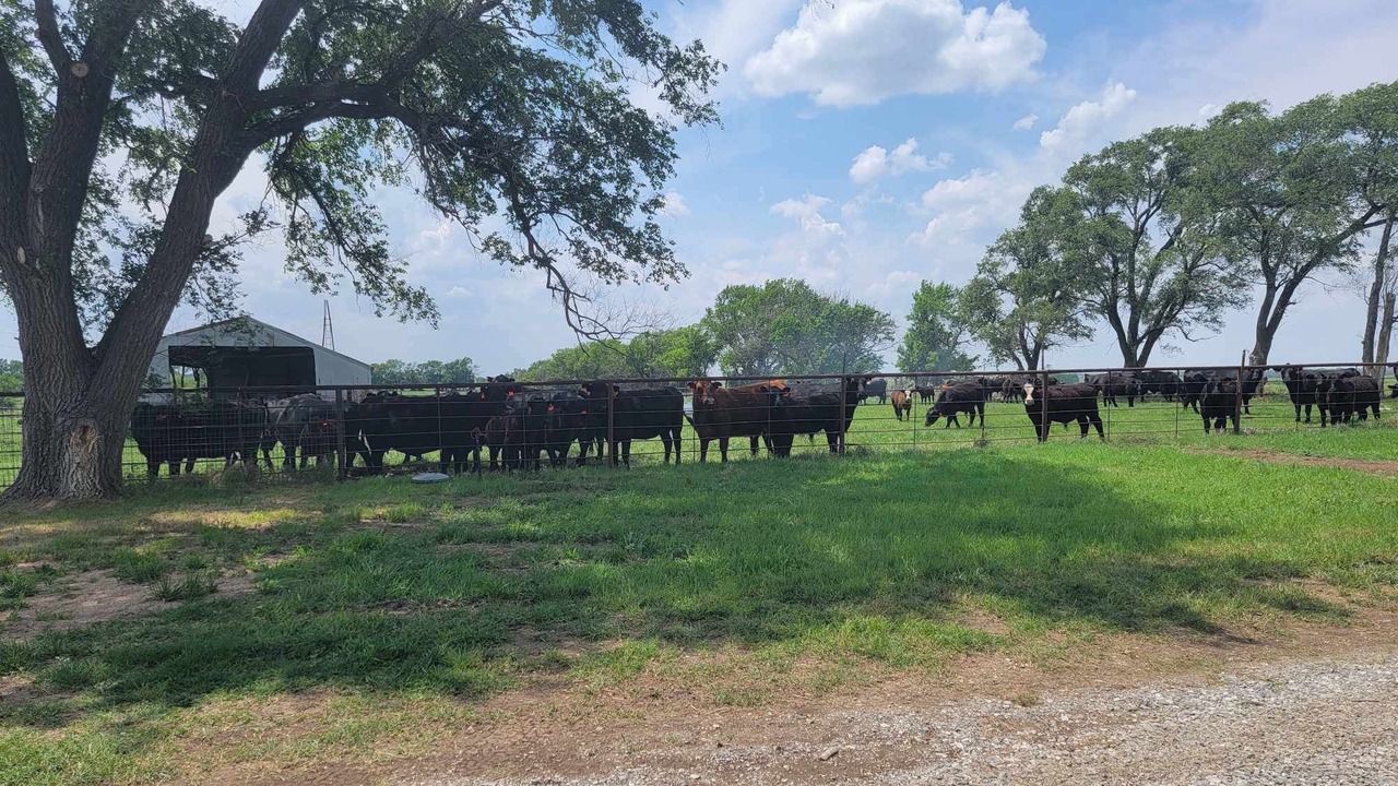 Photo of Outdoor in Cowley County
