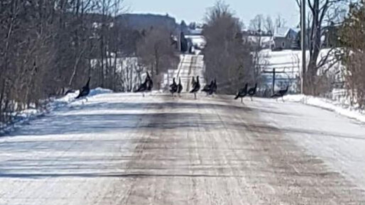 Photo of Outdoor in Otonabee-South Monaghan
