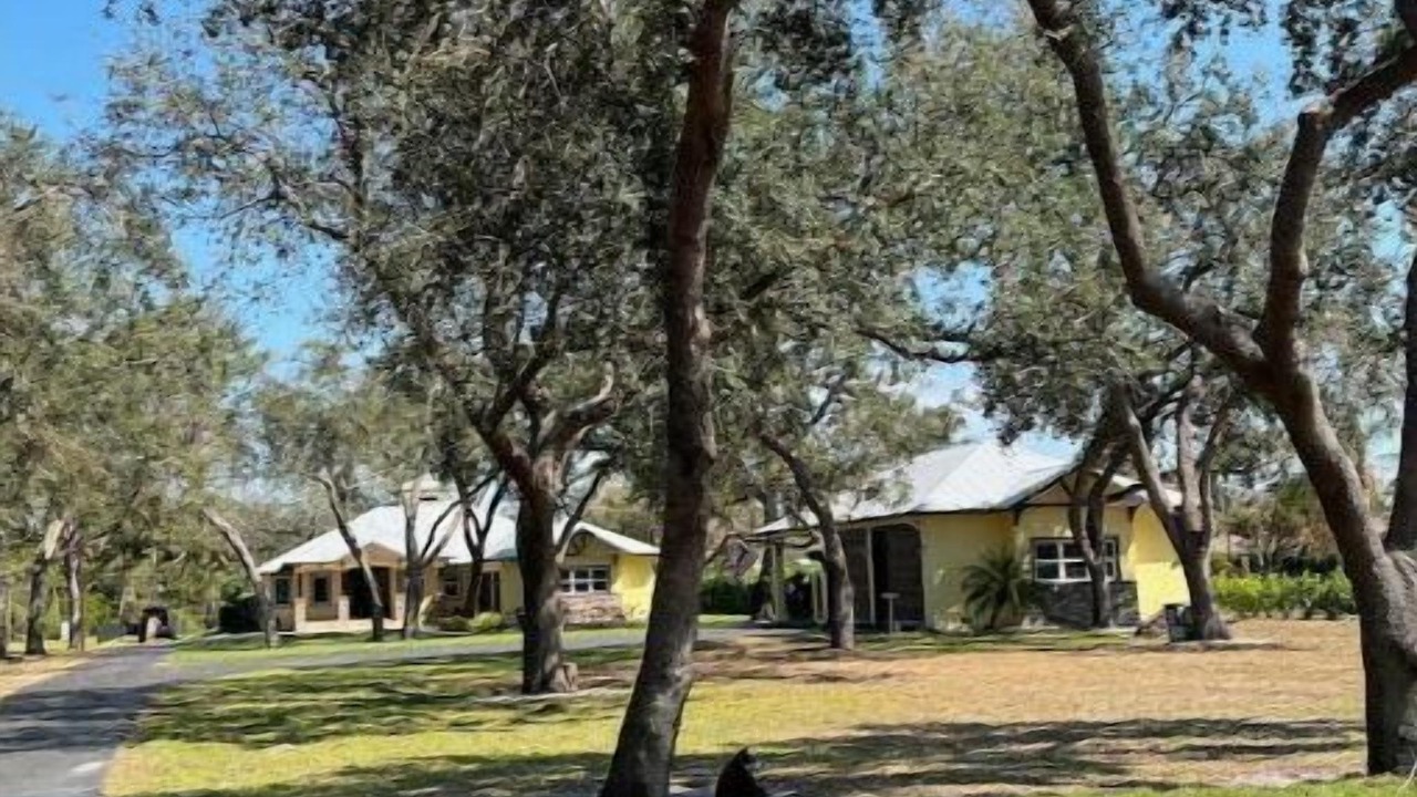 Photo of Outdoor in Estero