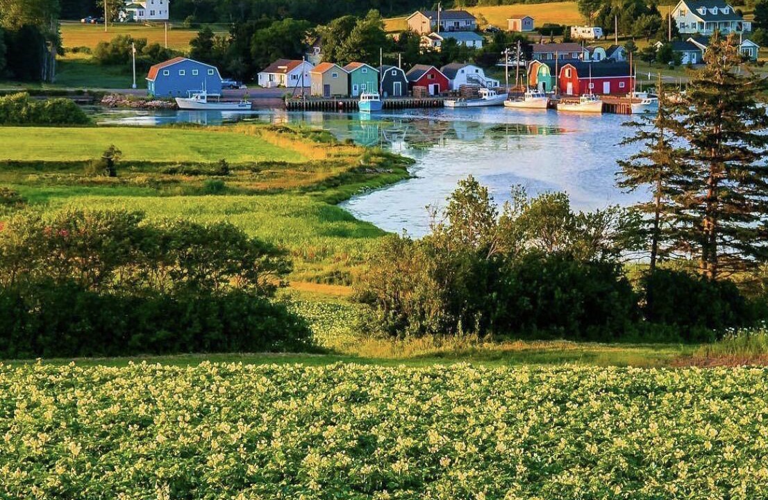 Photo of Others in French River