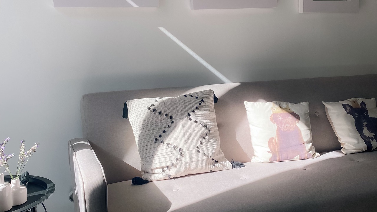 Photo of Livingroom in Provins