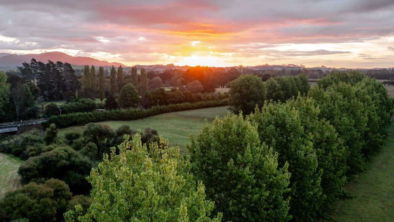 Photo of Others in Kaitaia