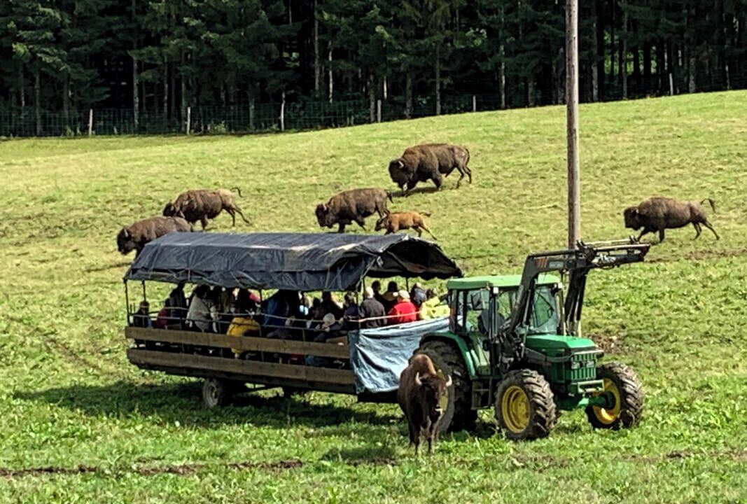 Photo of Others in Damprichard