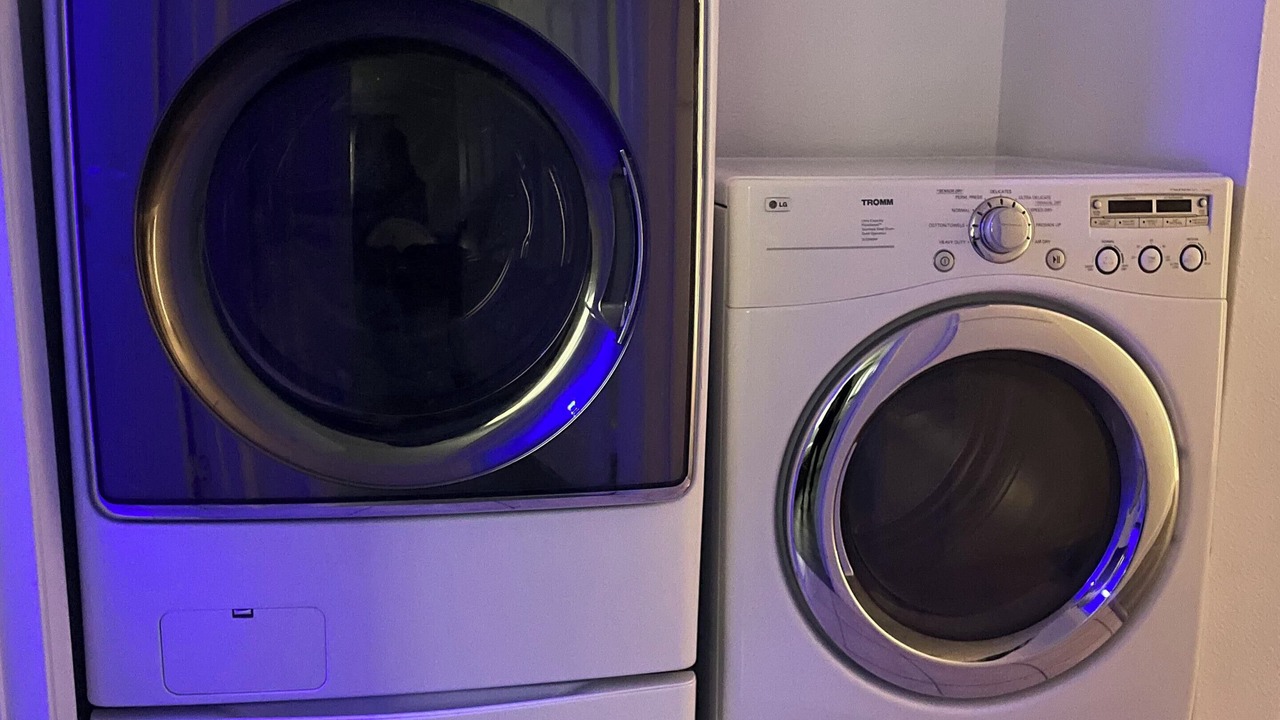 Photo of Others in Nut Tree