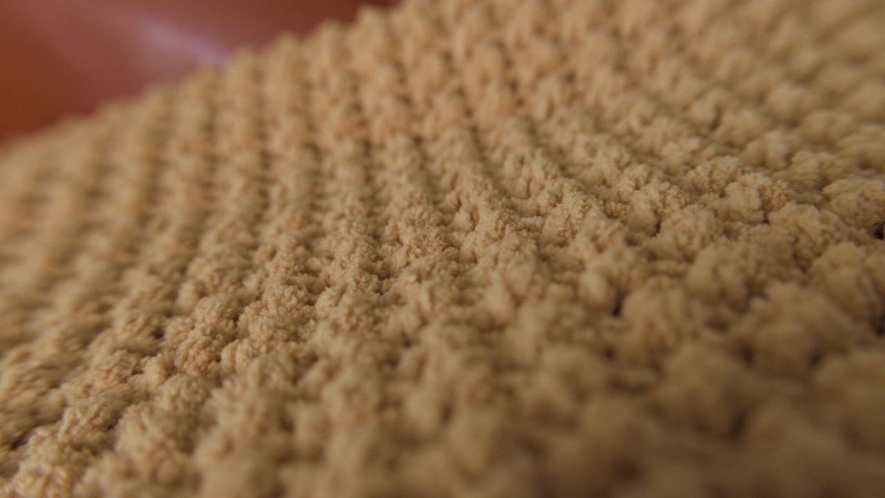 Photo of Others in Nut Tree