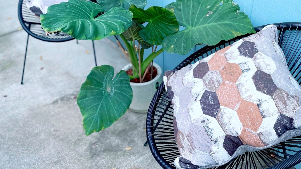 Photo of Patio Balcony in Nut Tree