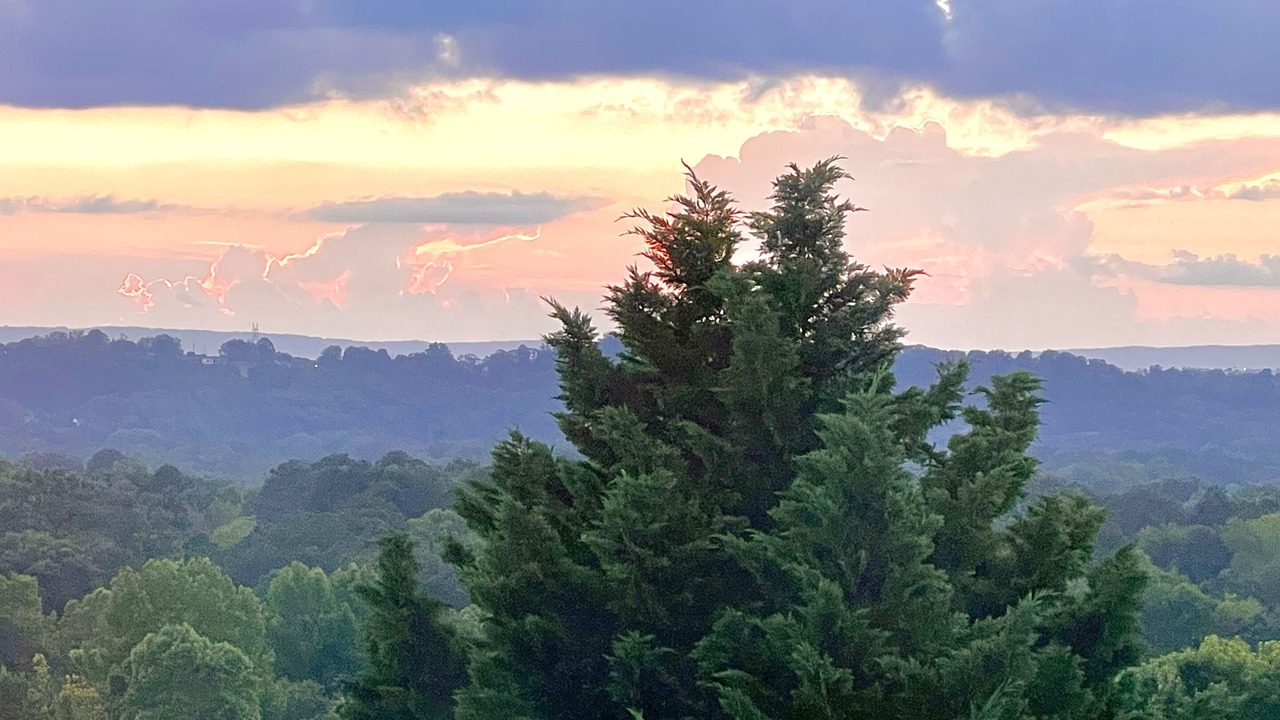 Photo of Others in Graysville