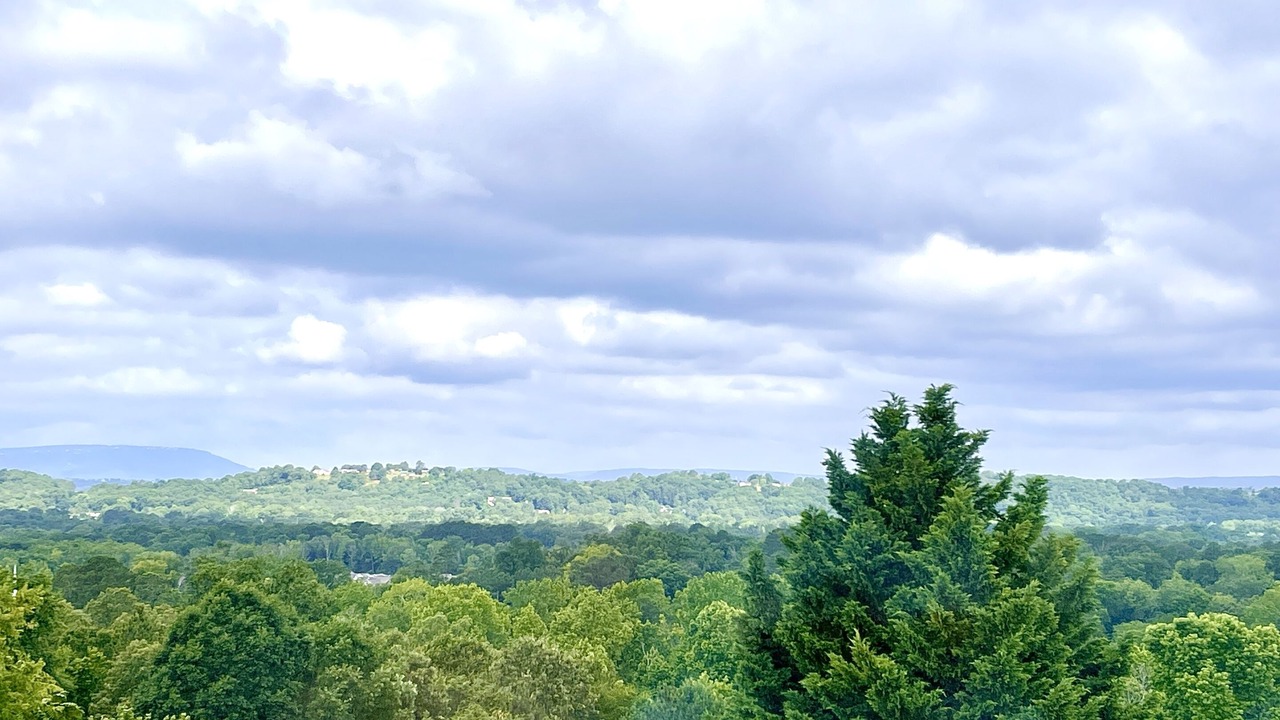 Photo of Others in Graysville