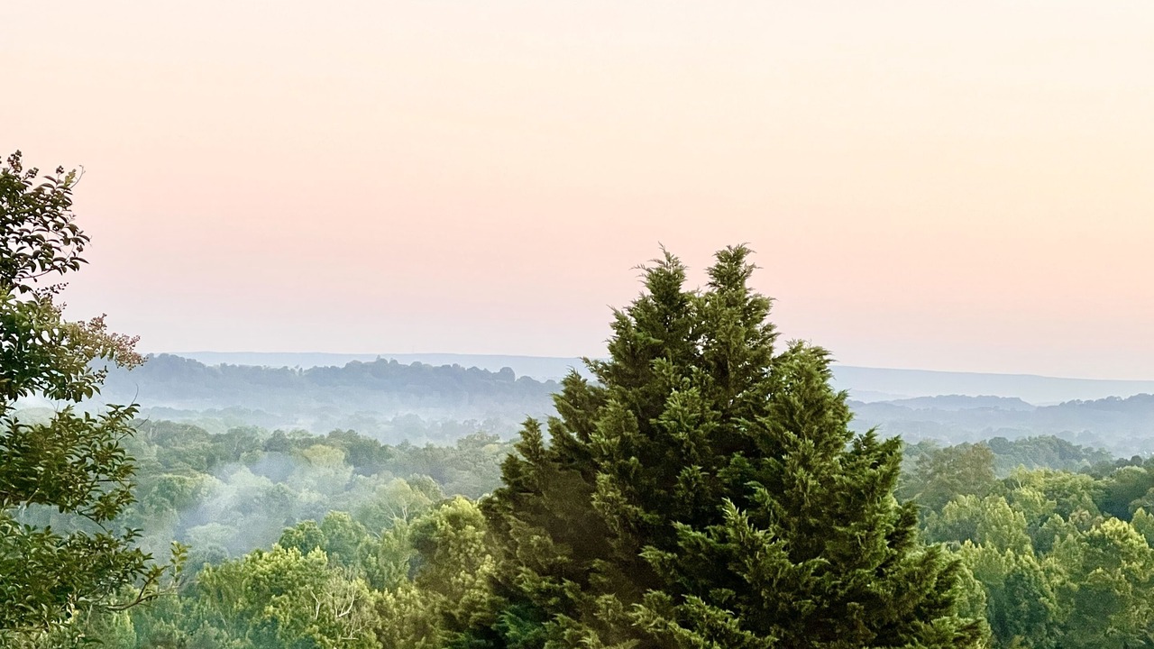 Photo of Others in Graysville