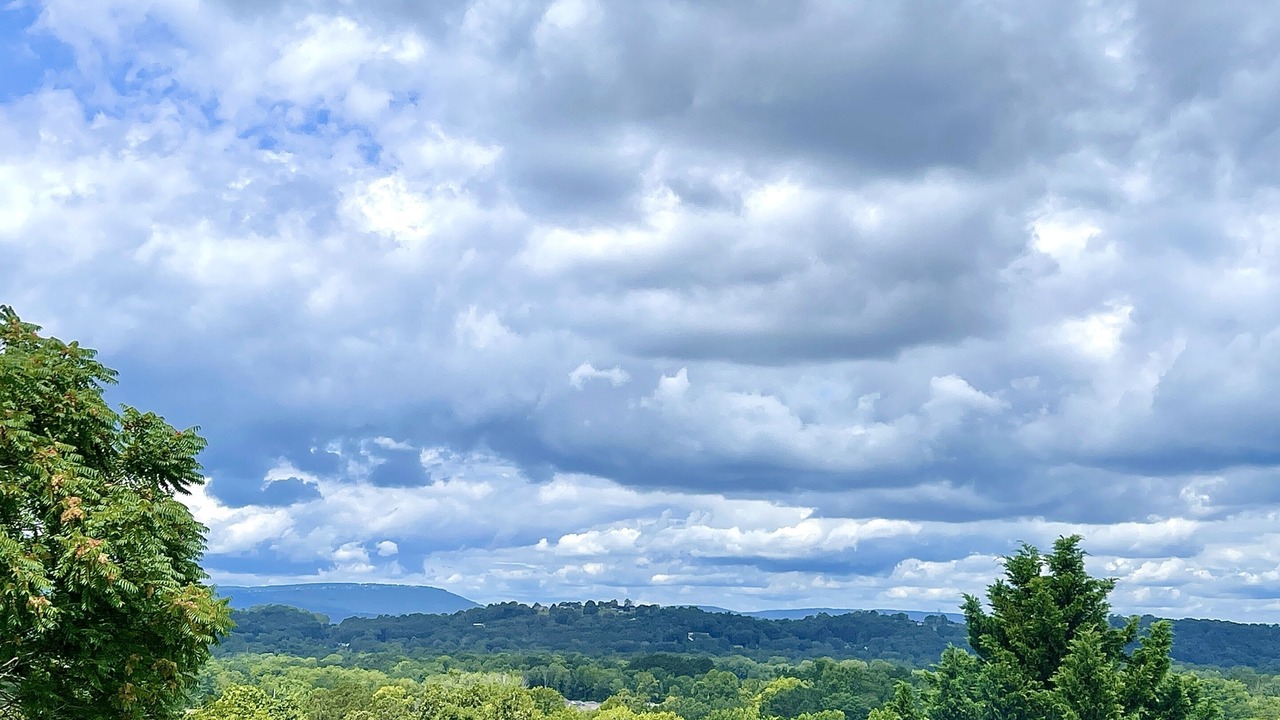 Photo of Others in Graysville