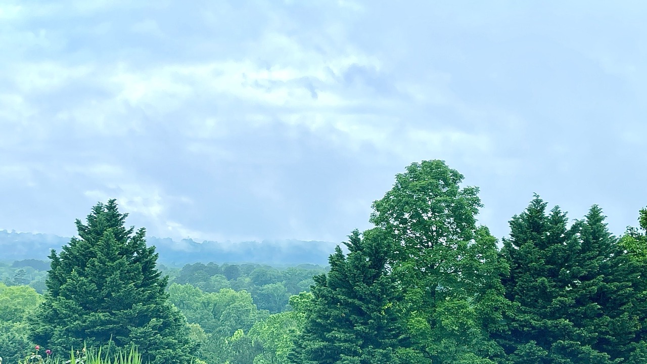 Photo of Outdoor in Graysville