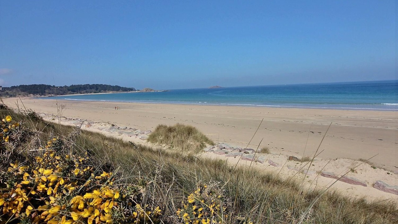 Photo of Others in Sables-d'Or-les-Pins