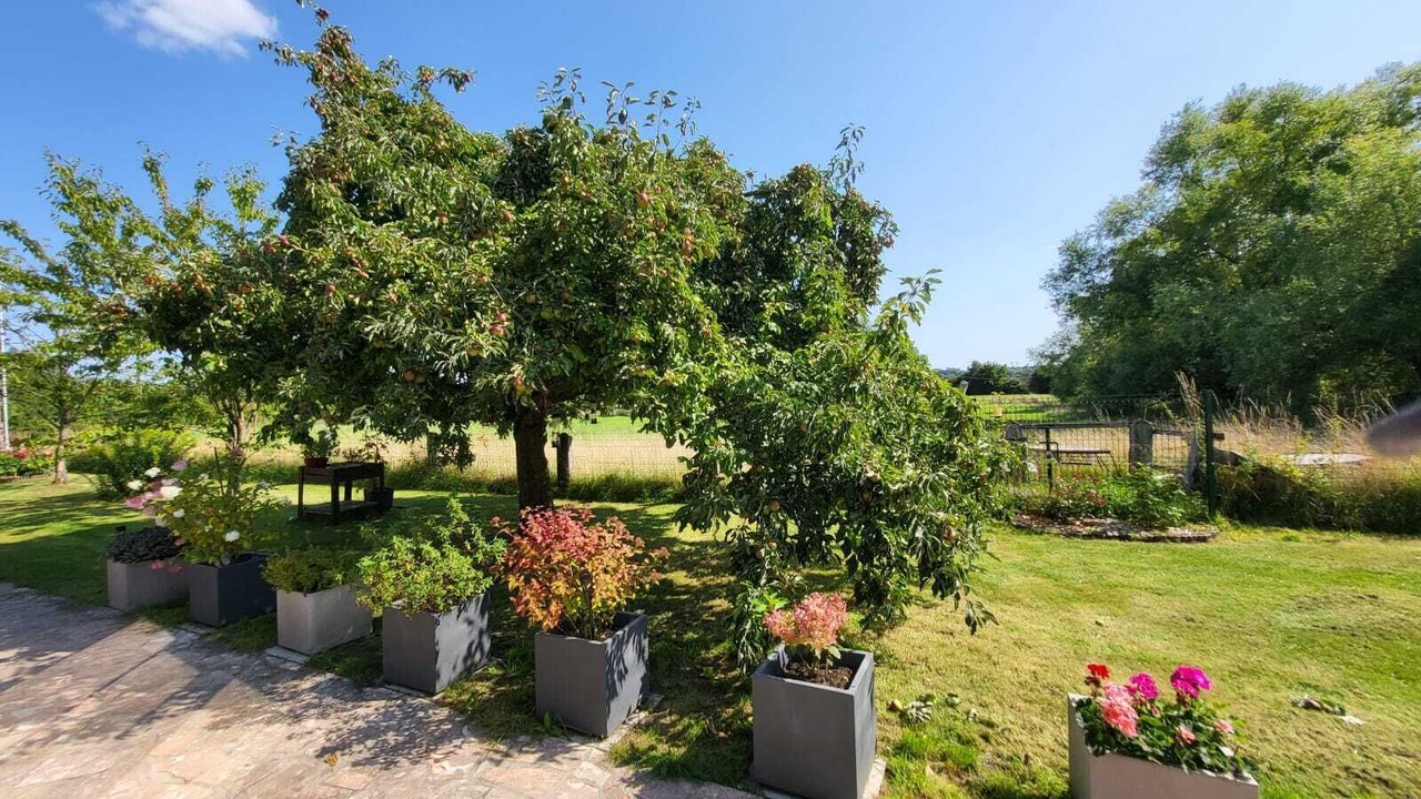 Photo of Patio Balcony in Sommery