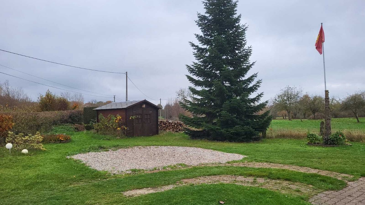Photo of Outdoor in Sommery