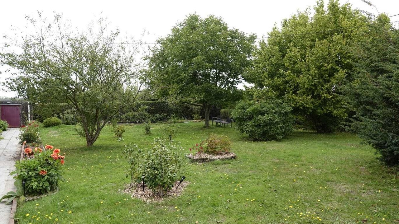 Photo of Outdoor in Sommery