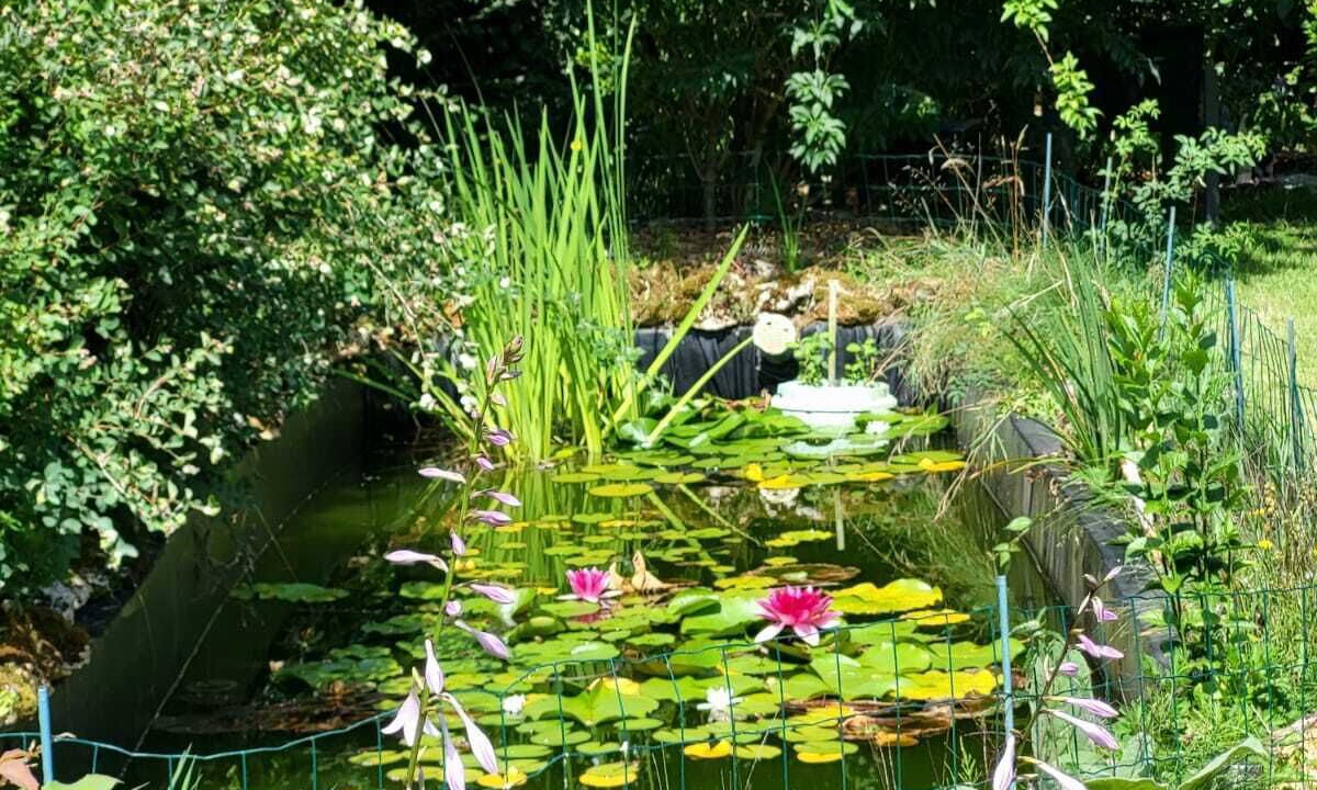 Photo of Outdoor in Sommery