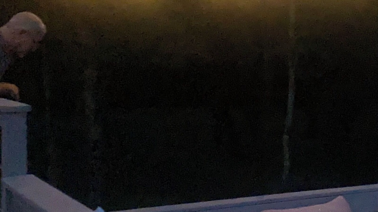 Photo of Outdoor in Westpoint