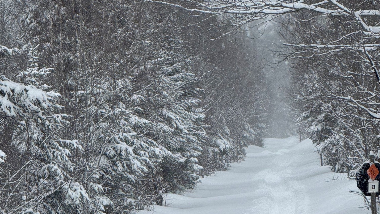 Photo of Others in Lake Linden