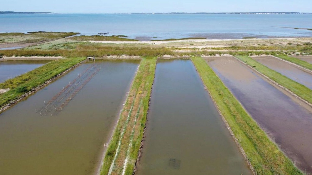 Photo of Outdoor in Marennes