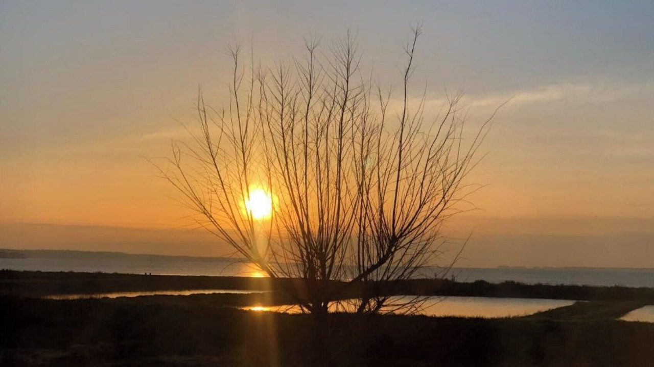 Photo of Others in Marennes