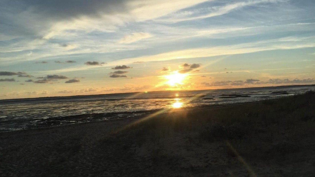 Photo of Others in Marennes