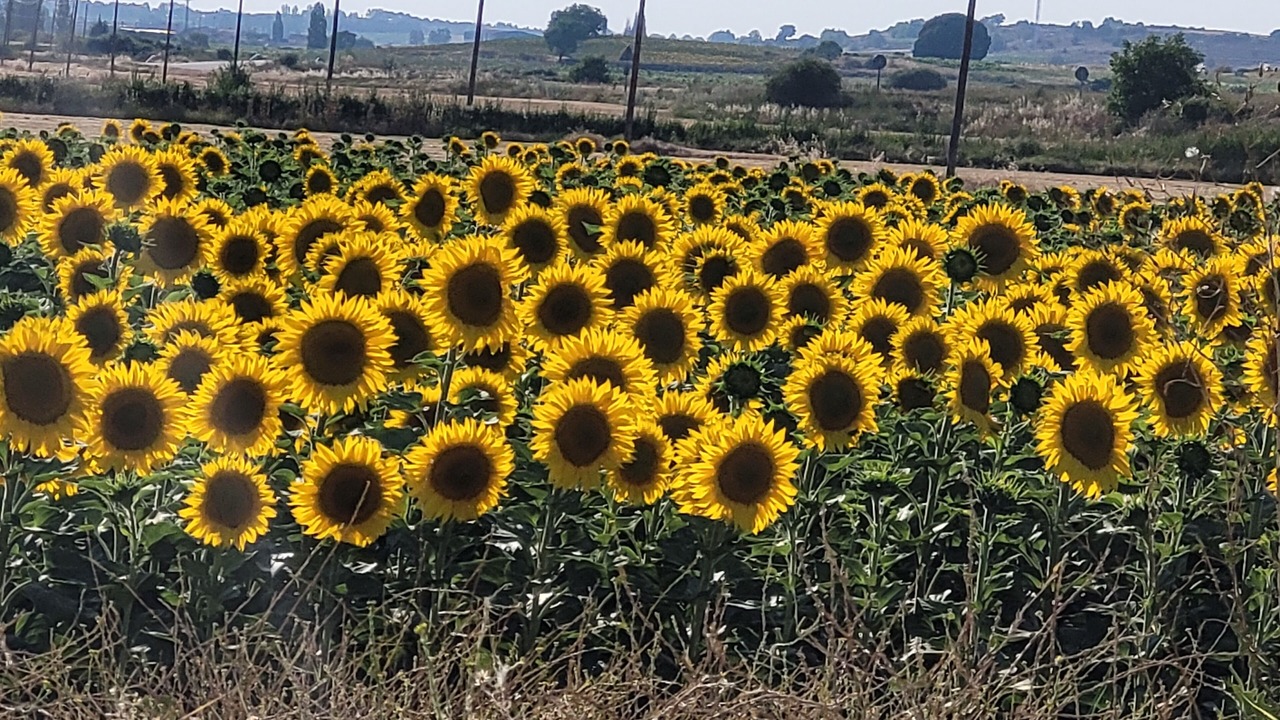 Photo of Outdoor in Monterrubio de la Demanda