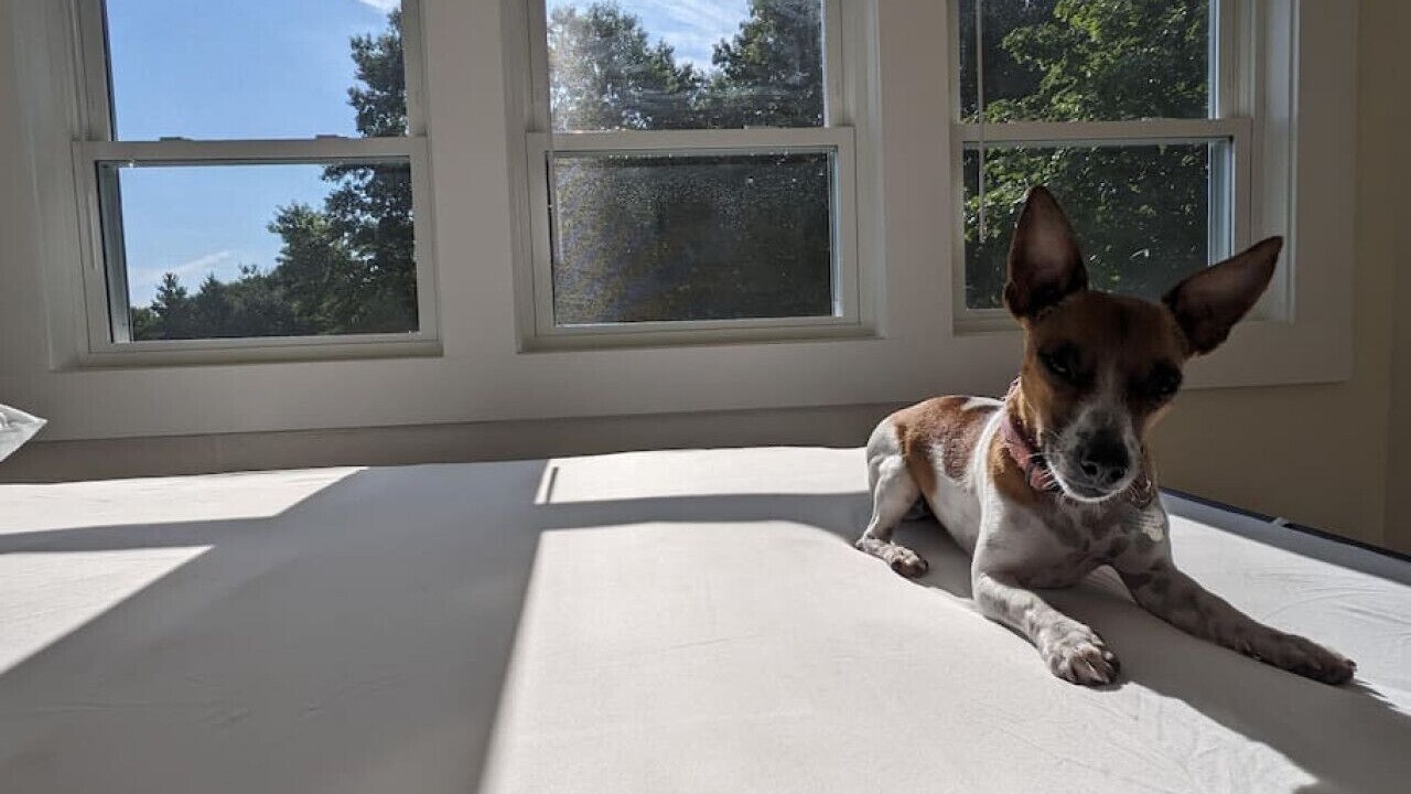 Photo of Bedroom in Perryville