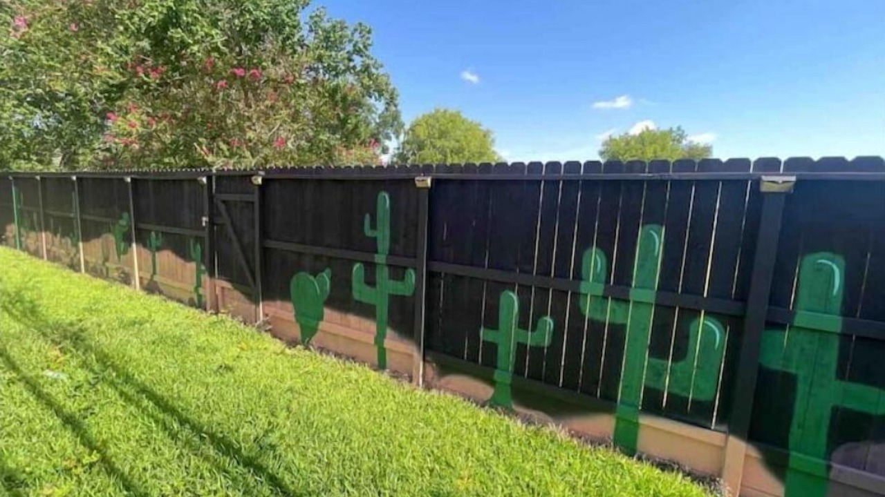 Photo of Outdoor in Edgebrook