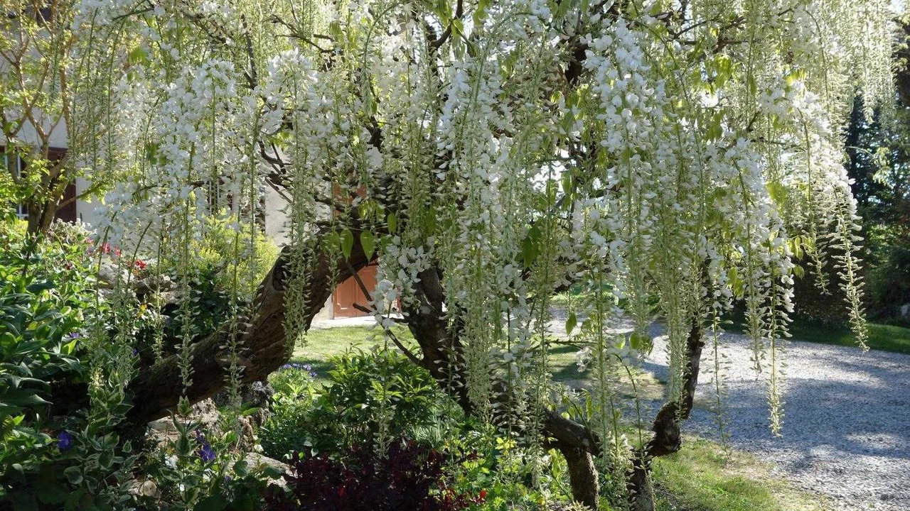 Photo of Outdoor in Saint-Sulpice