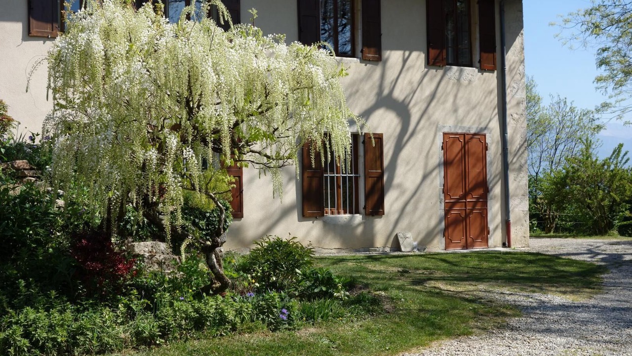 Photo of Outdoor in Saint-Sulpice