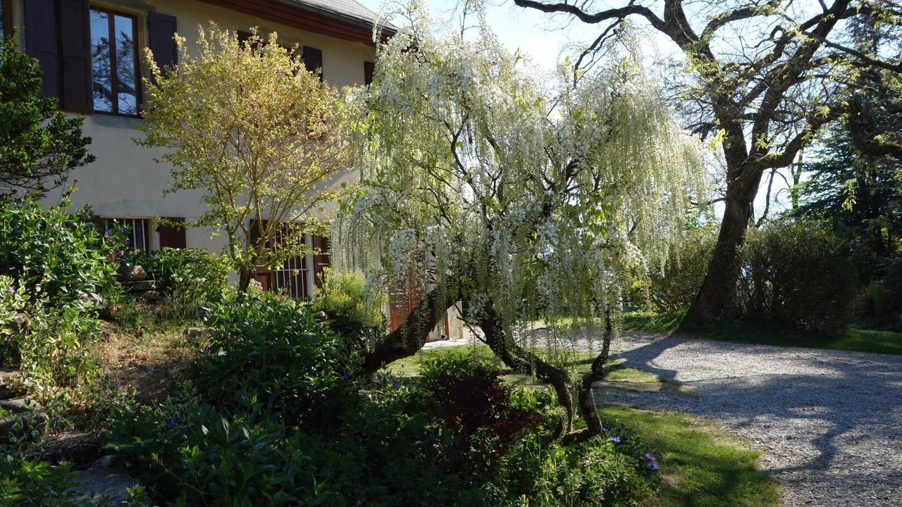 Photo of Outdoor in Saint-Sulpice