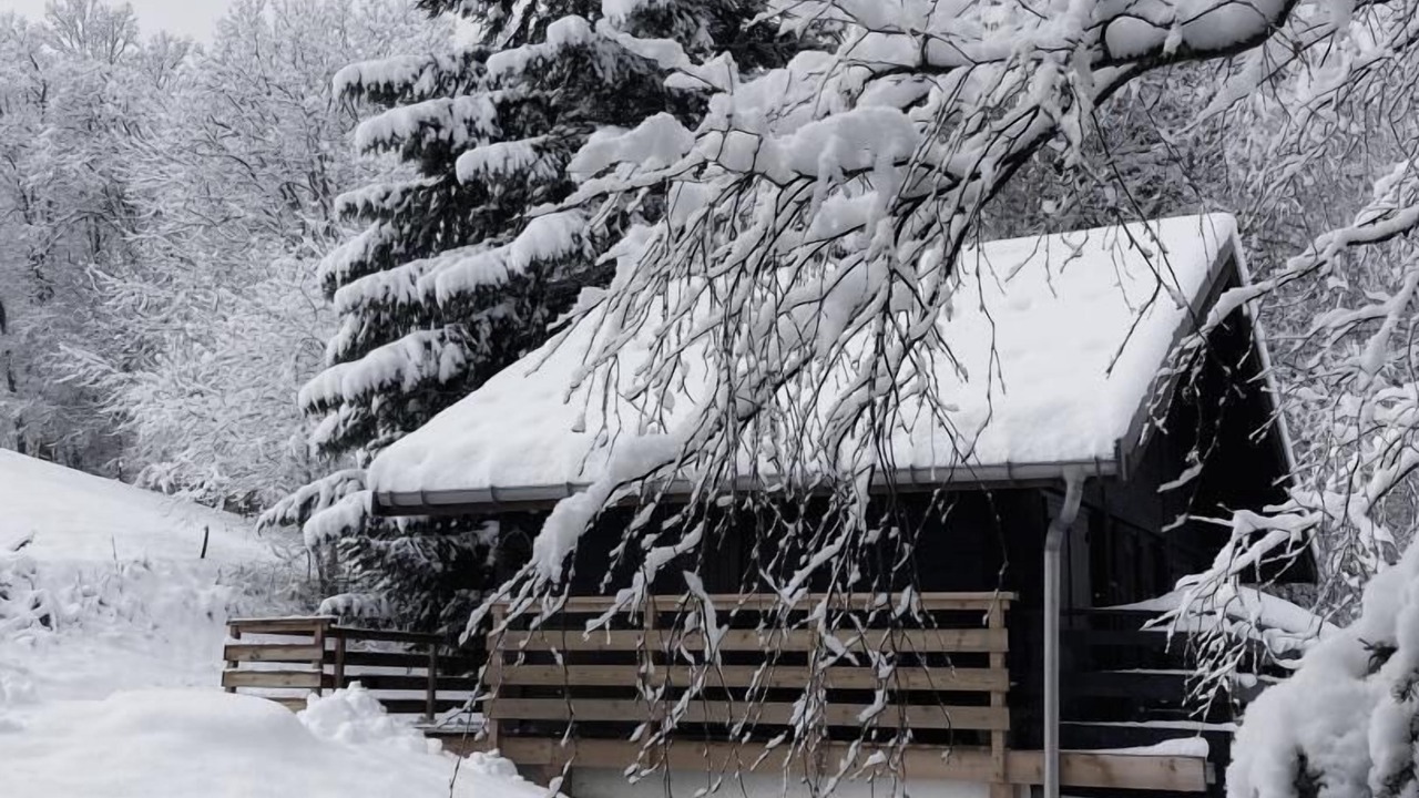 Photo of Outdoor in Les Bottieres