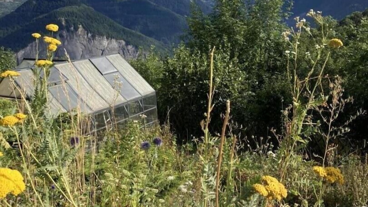 Photo of Others in Les Bottieres