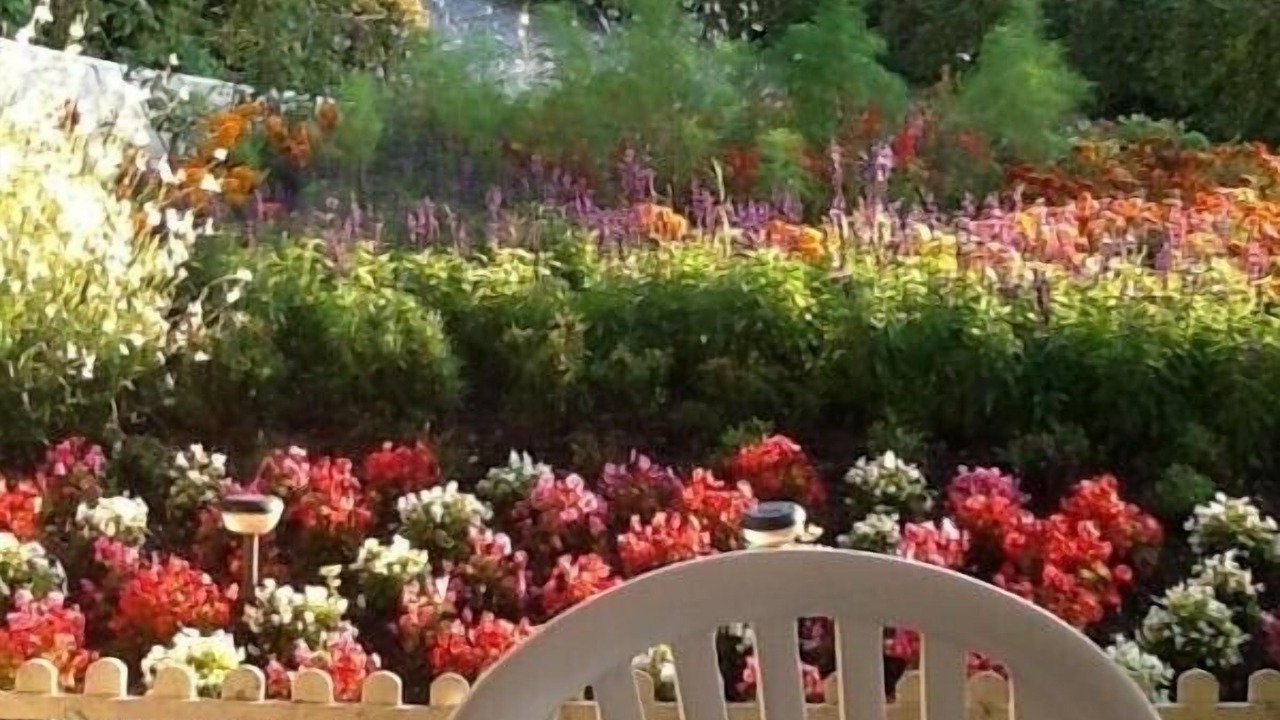 Photo of Outdoor in Montcel