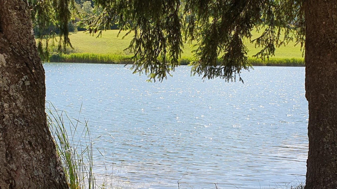 Photo of Others in La Thuile