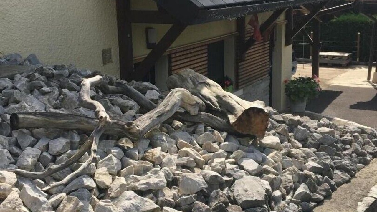 Photo of Outdoor in Viviers-du-Lac