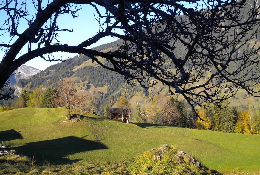 Photo of Others in Beaufort